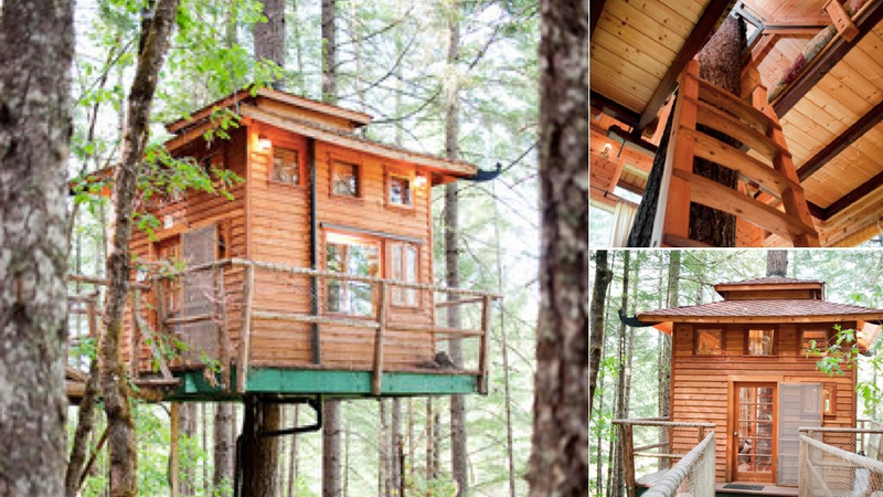 Illustration for article titled 13 Ingenious Treehouses That Go Out on a Limb